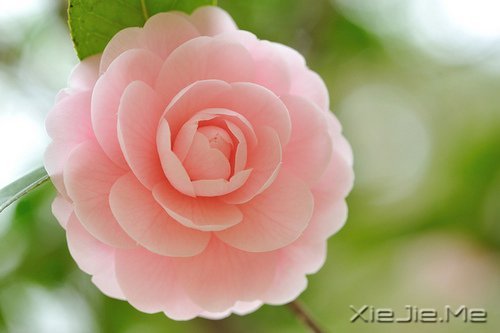 �簲����������ģ�����ʼ�� (1)