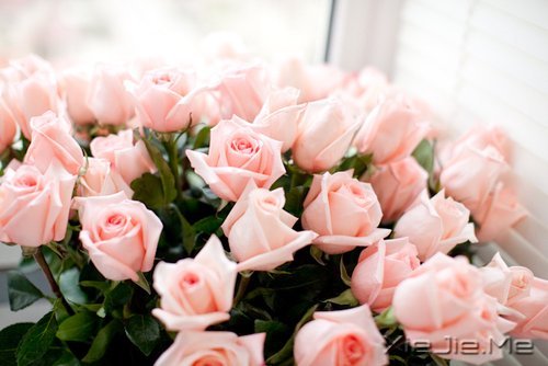 ������ᣬȴ���ӵ�з������������ (1)