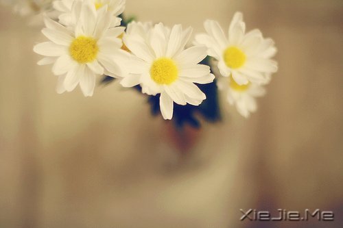 10����ů��Ӣ�ĸ����Ƽ� (6)